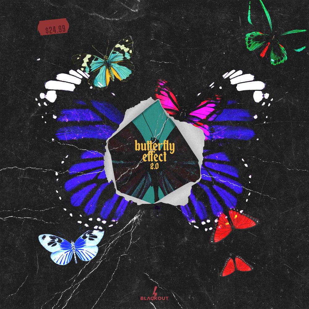 Arte de Butterfly Effect 2