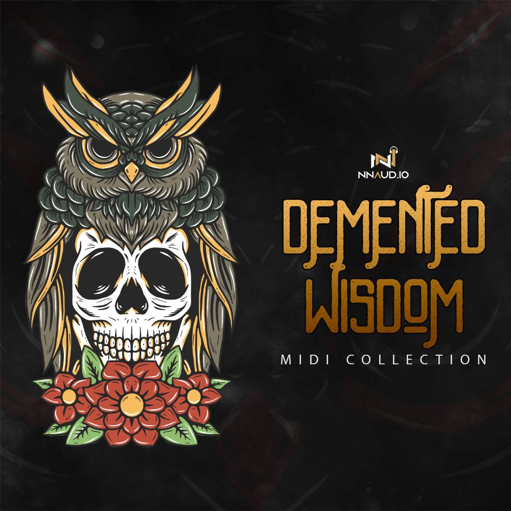 Arte de Demented Wisdom
