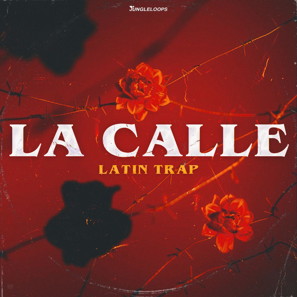 Artwork of La Calle - Latin Trap