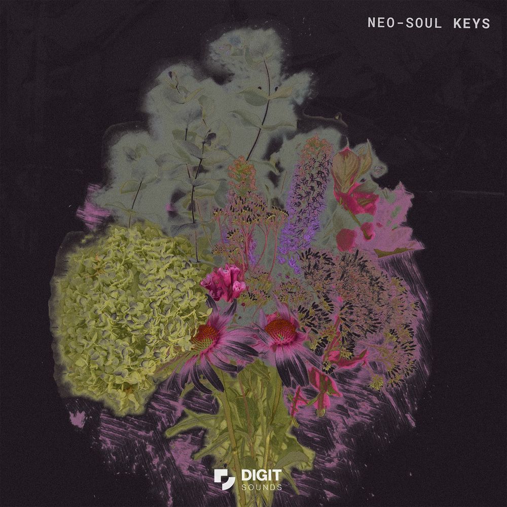Arte de Neo Soul Keys