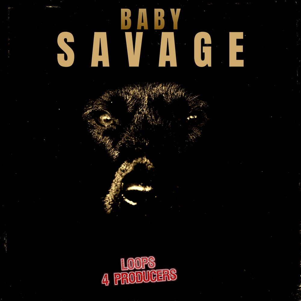Pochette de Baby Savage