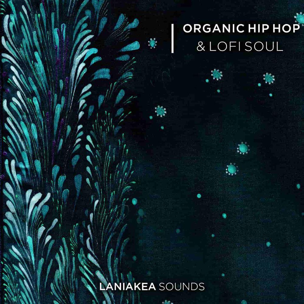 Pochette de Organic Hip Hop & Lofi Soul