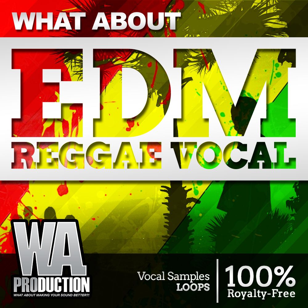 Pochette de What About EDM Reggae Vocals