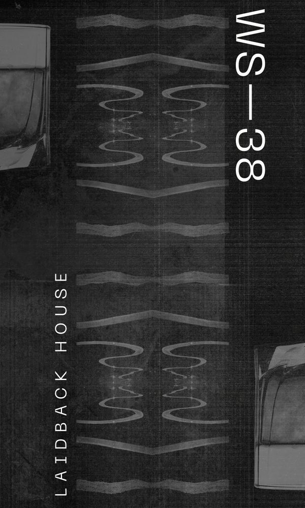 Artwork for Laidback House