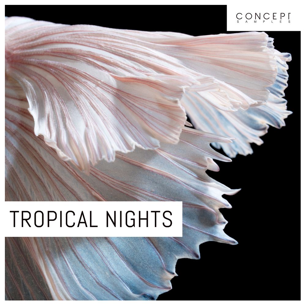Pochette de Tropical Nights