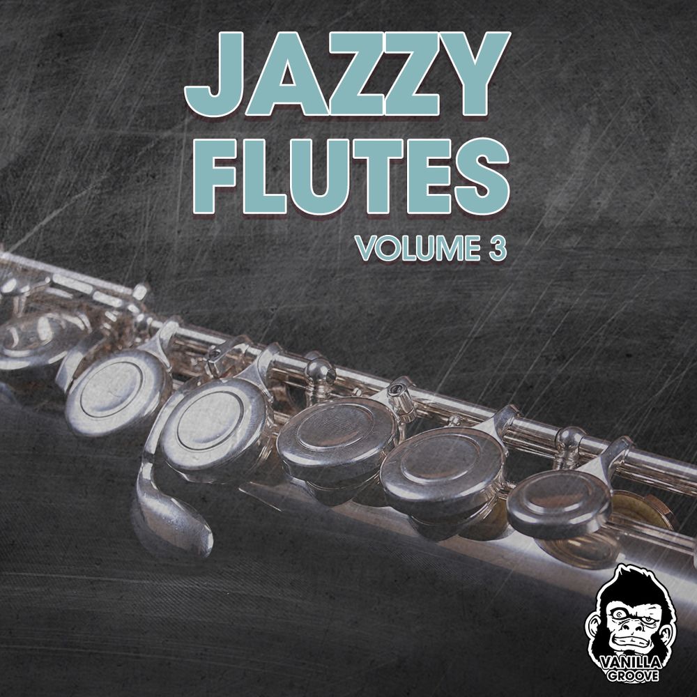 Pochette de Jazzy Flutes Vol 3