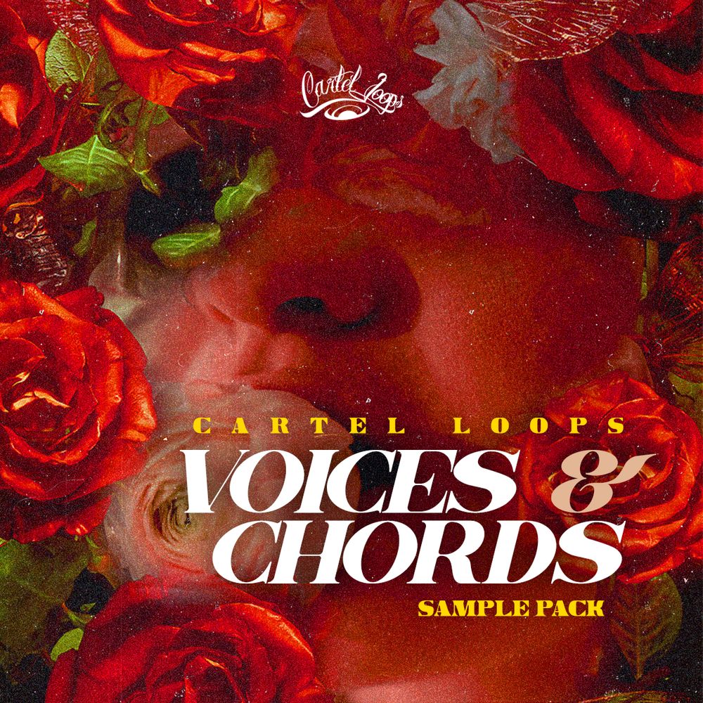 Pochette de Voices & Chords
