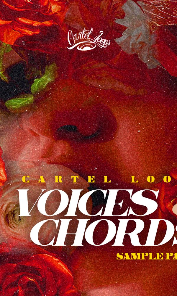 Artwork for Voices & Chords