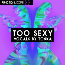 Pochette de Too Sexy Vocals by Tonka