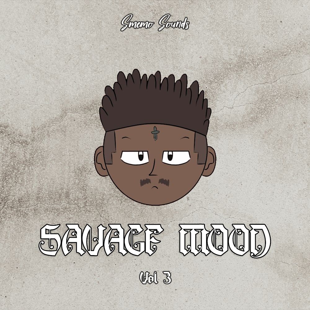 Pochette de SAVAGE MOOD vol 3