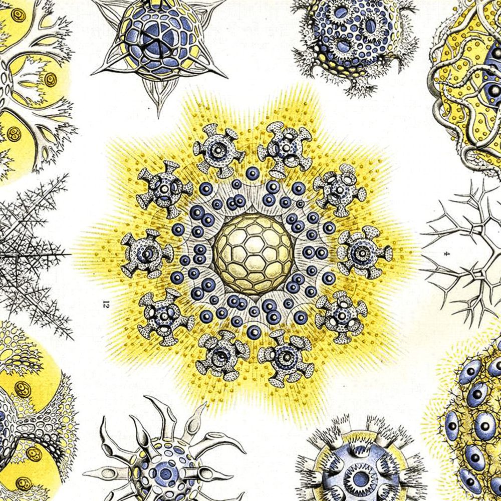 Arte de Pandemic