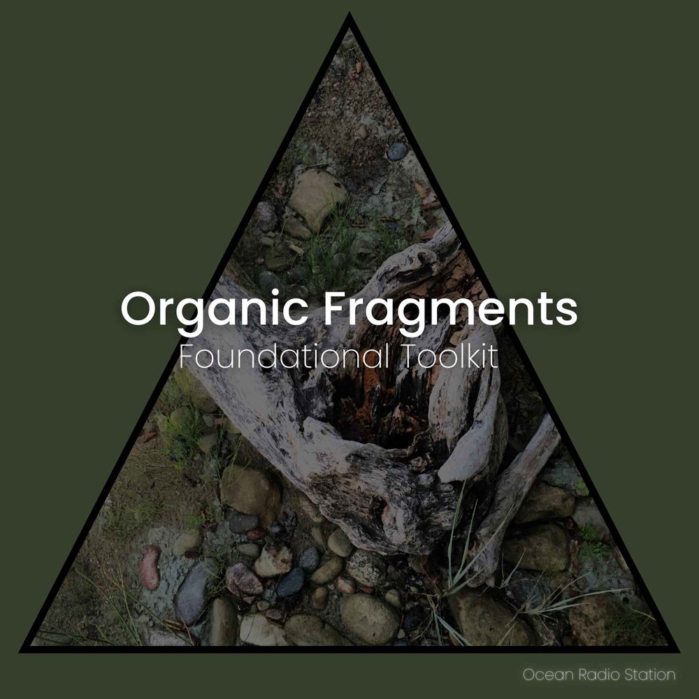 Arte de Organic Fragments