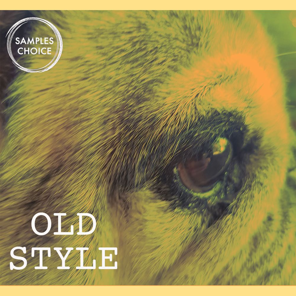 Pochette de Old Style