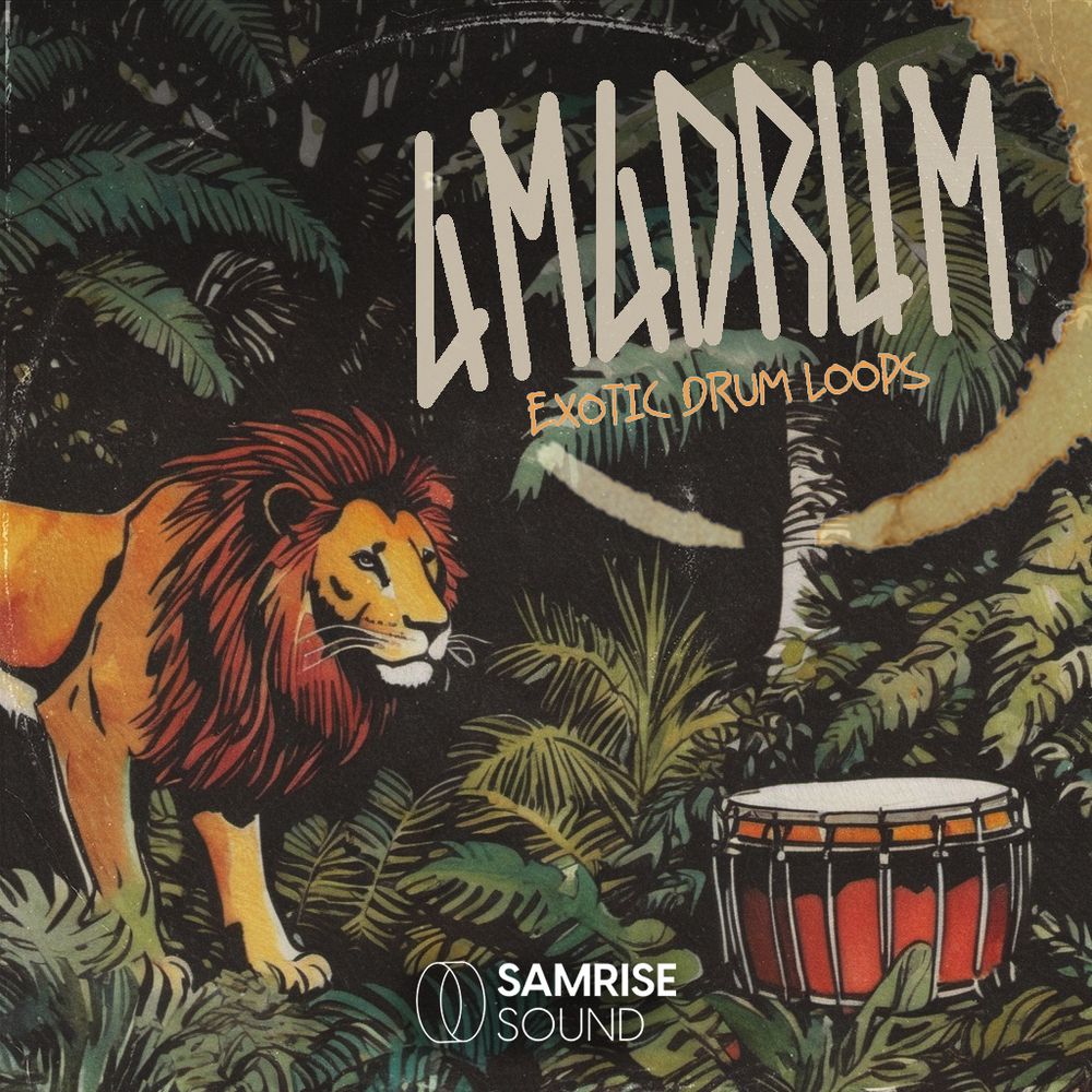 Pochette de AmaDrums