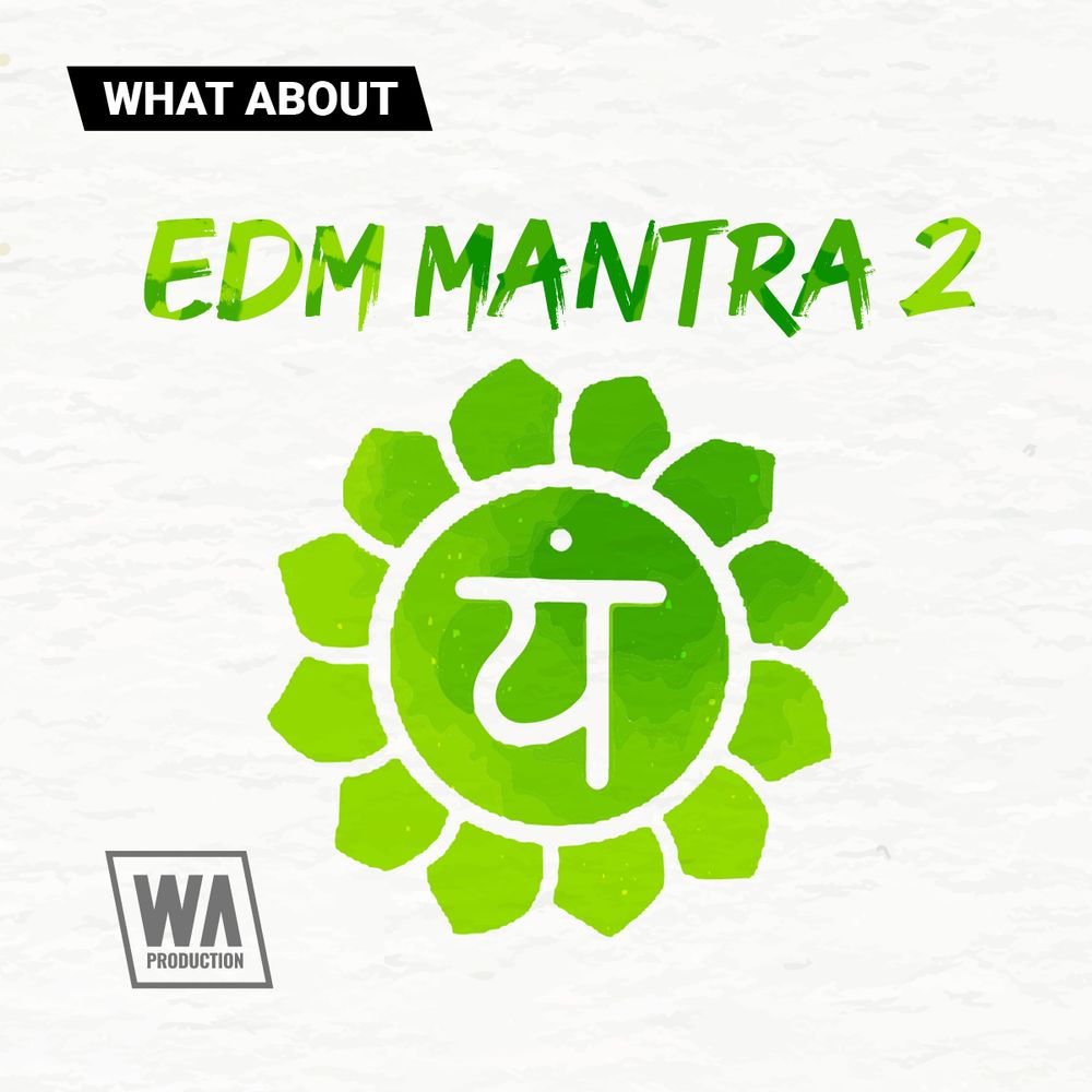 Pochette de What About EDM Mantra 2