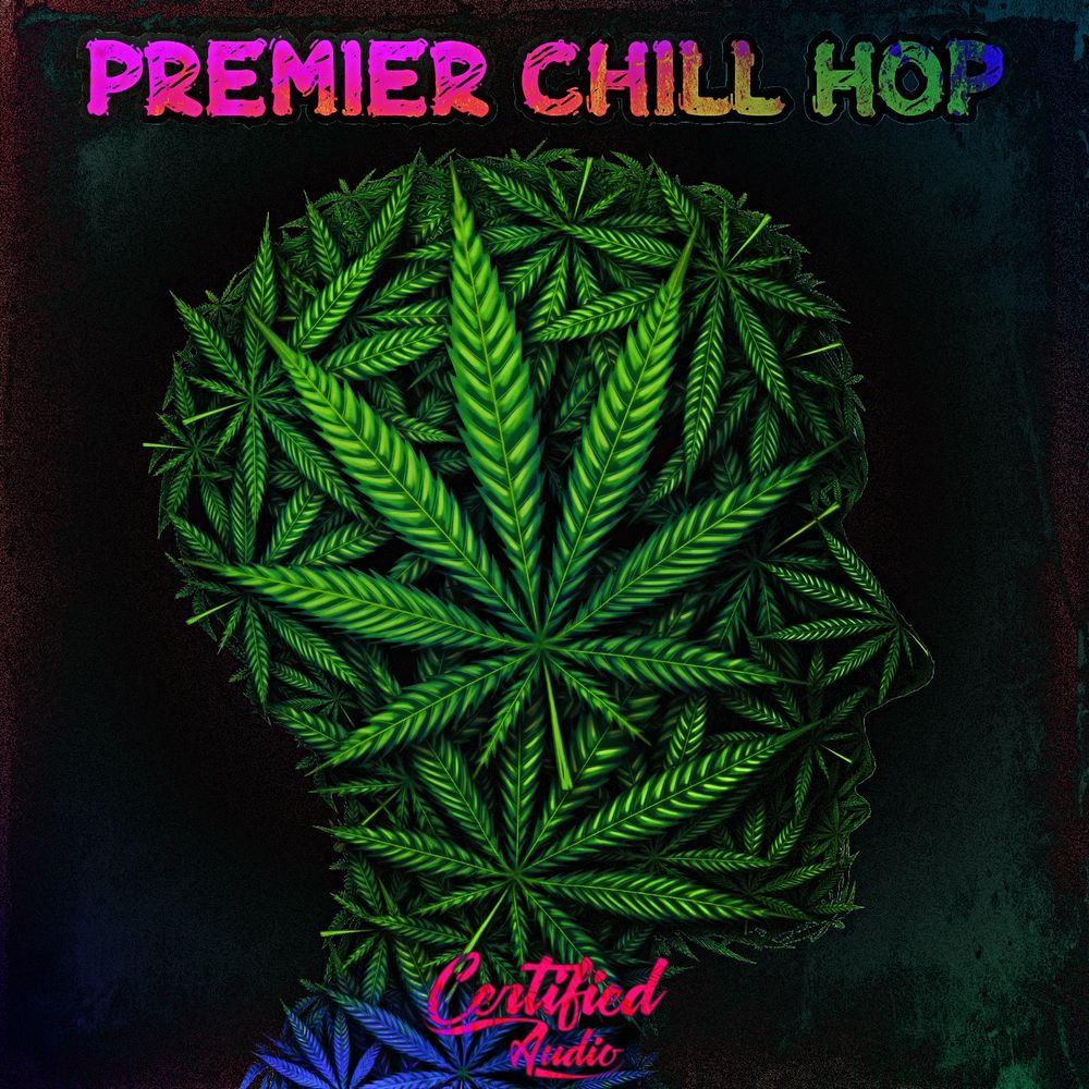 Pochette de PREMIER CHILL HOP