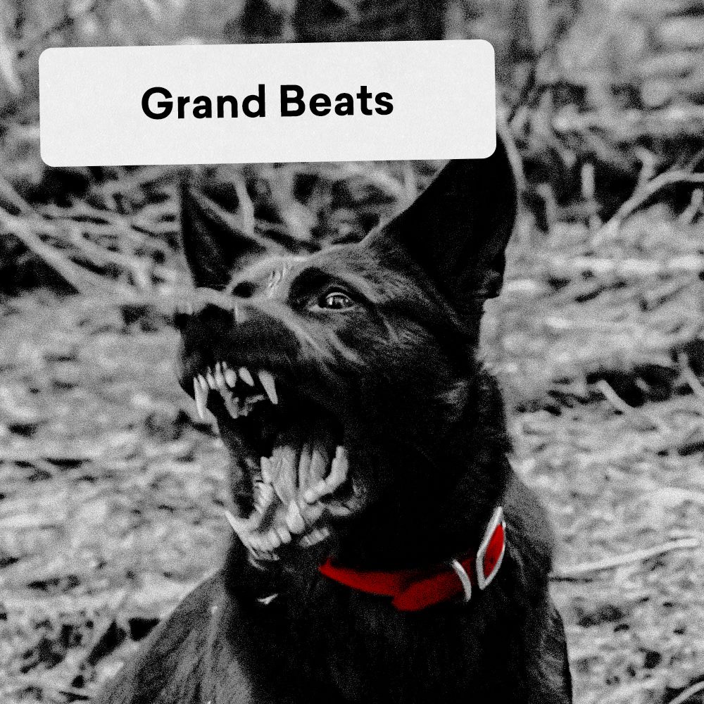 Pochette de Grand Beats