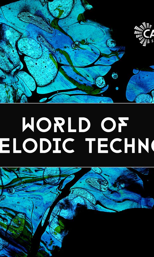 Artwork for World Of Melodic Techno
