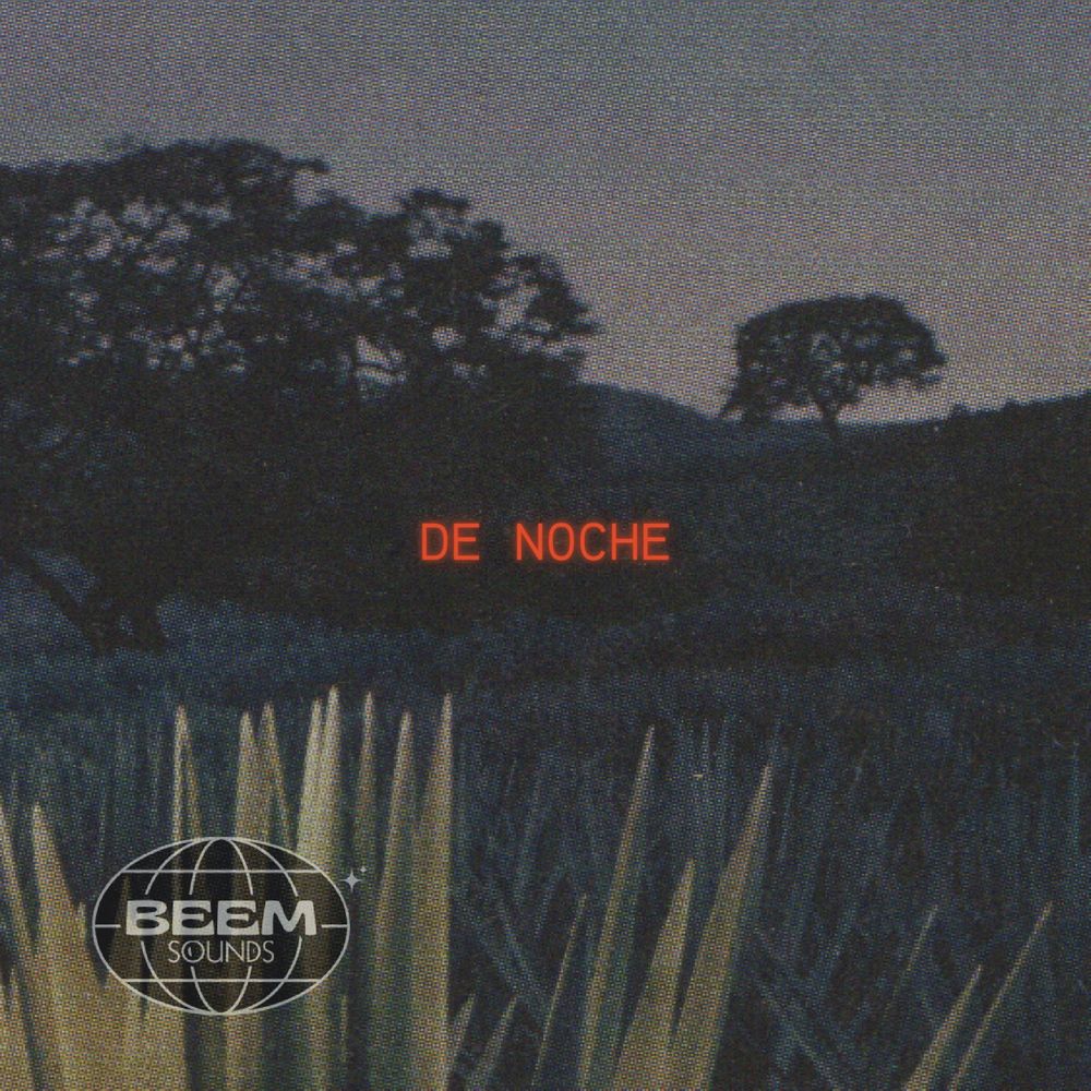 Pochette de LA NOCHE