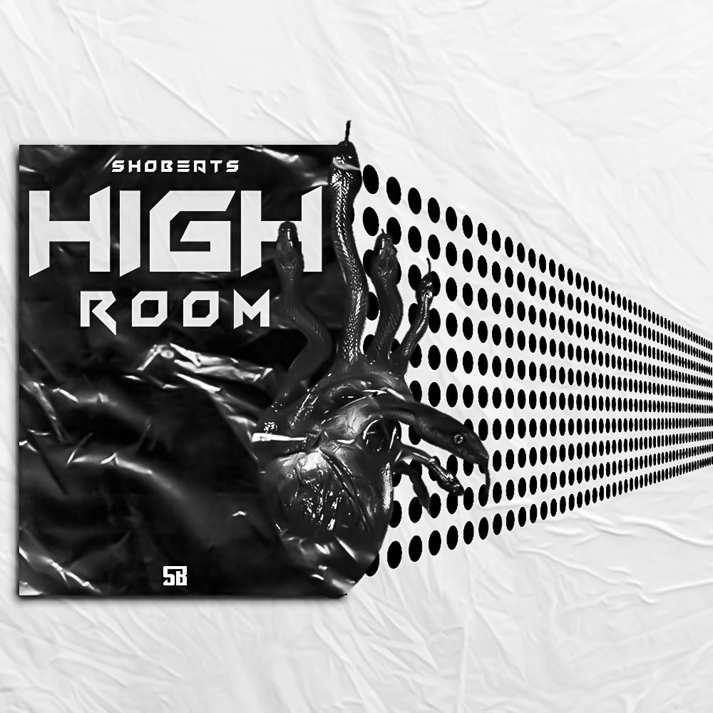 Pochette de HIGH ROOM