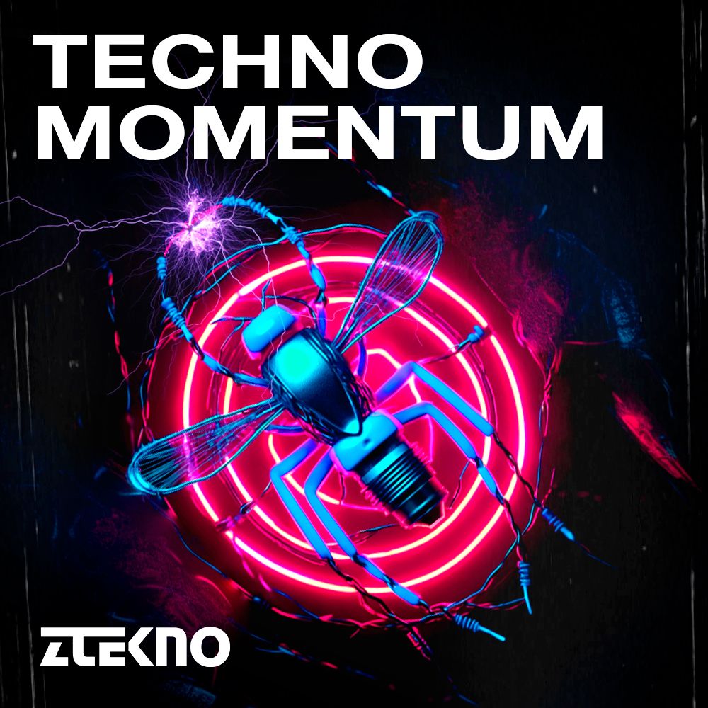 Arte de TECHNO MOMENTUM