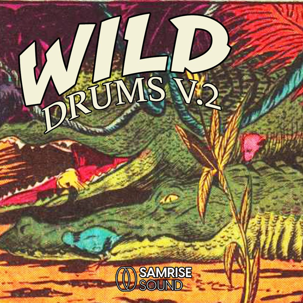 Pochette de Wild Drums v.2
