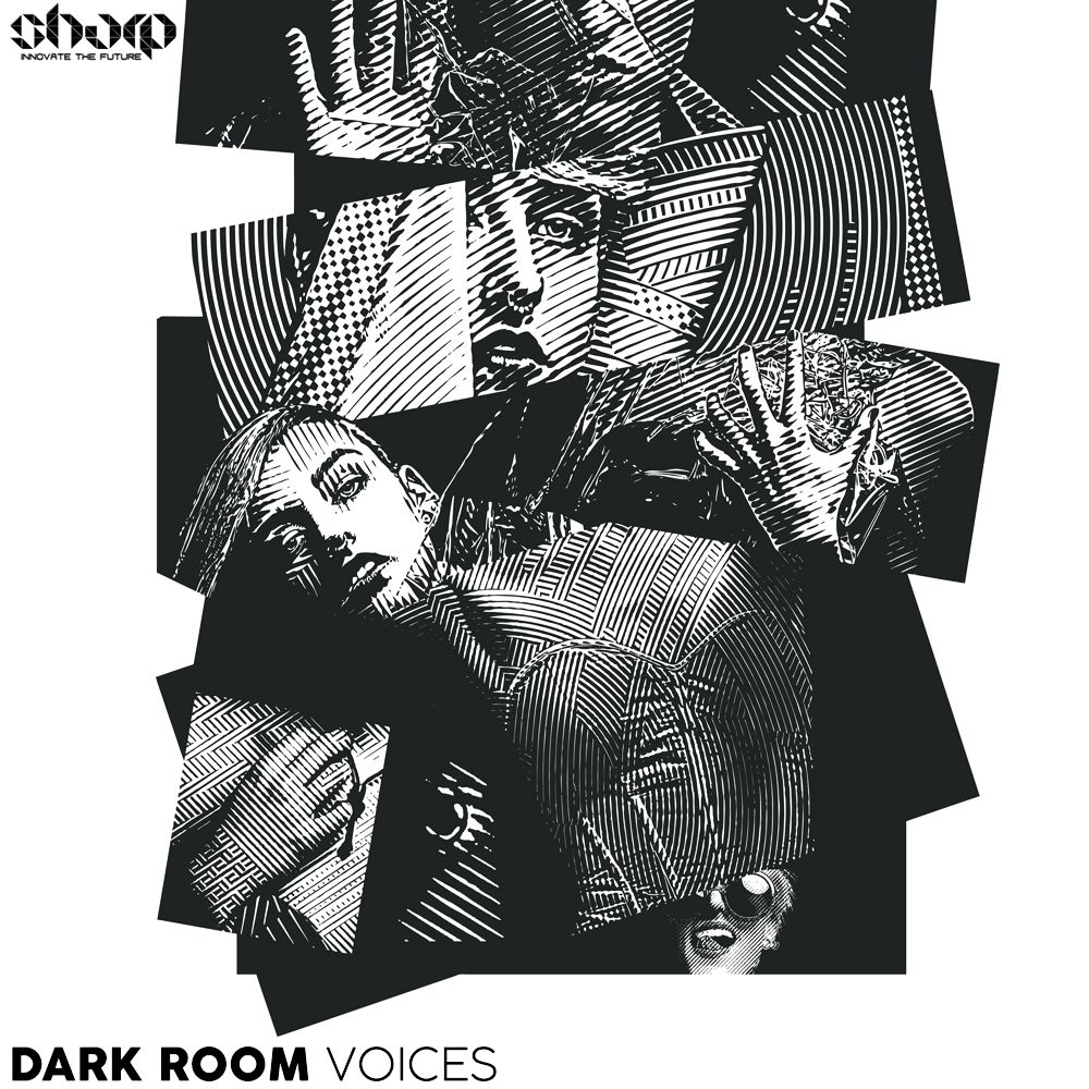 Arte de Dark Room Voices