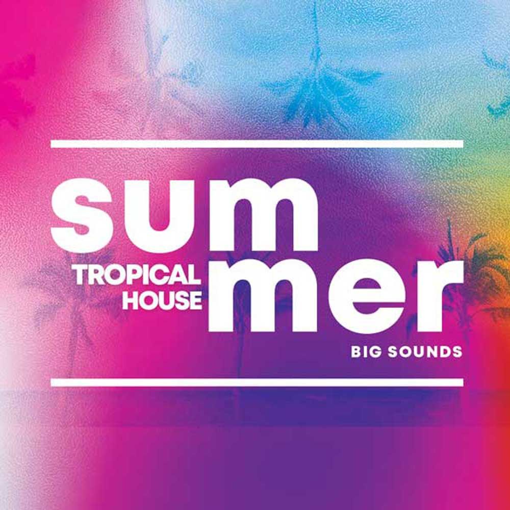 Arte de Summer Tropical House