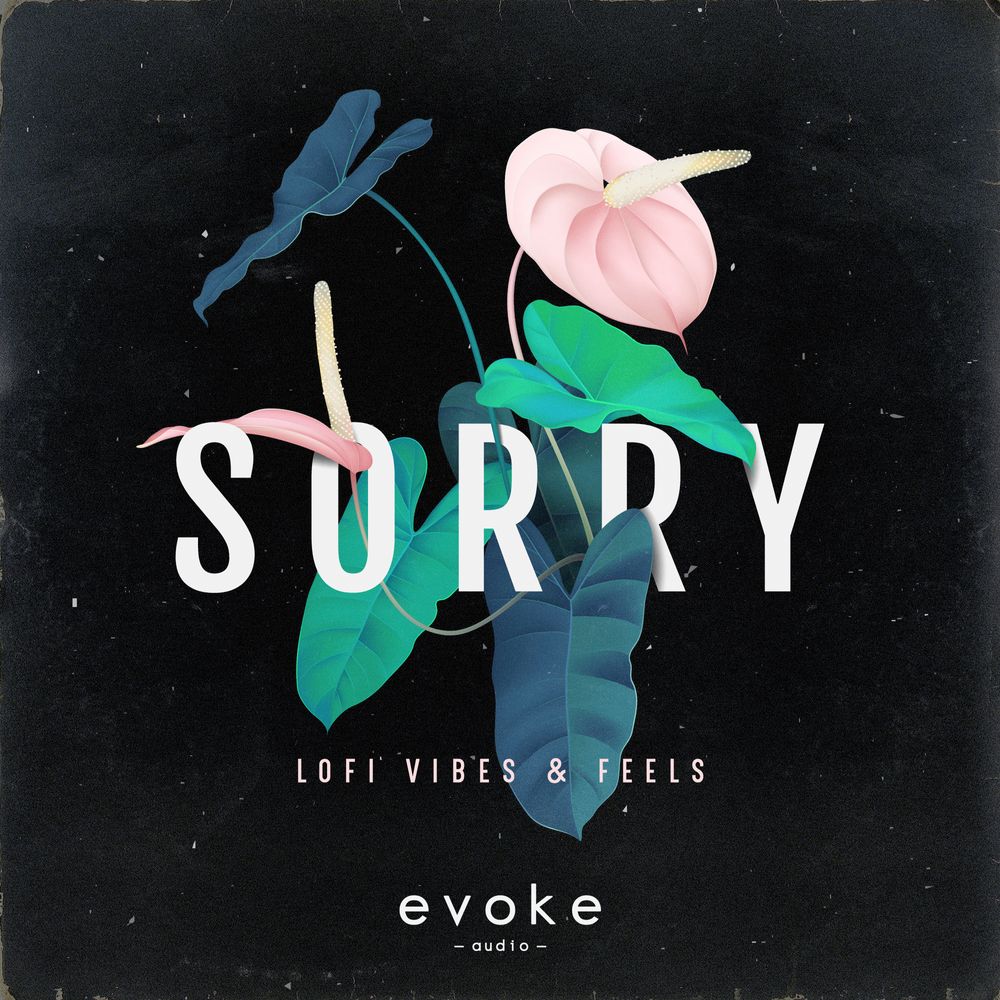 Arte de Sorry - Lofi Vibes & Feels