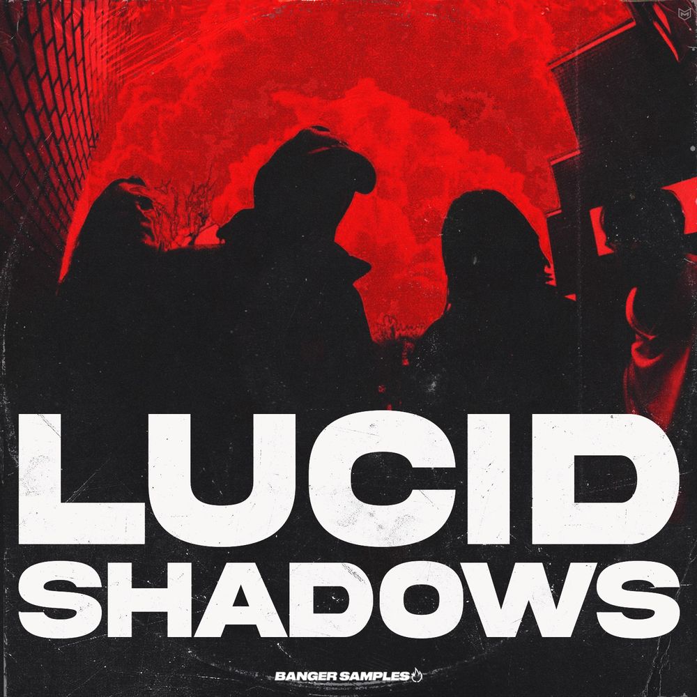Lucid Shadows의 아트워크