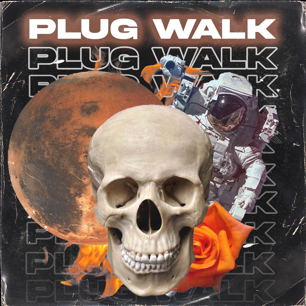 Plug Walk Kit Sample Pack LANDR Samples