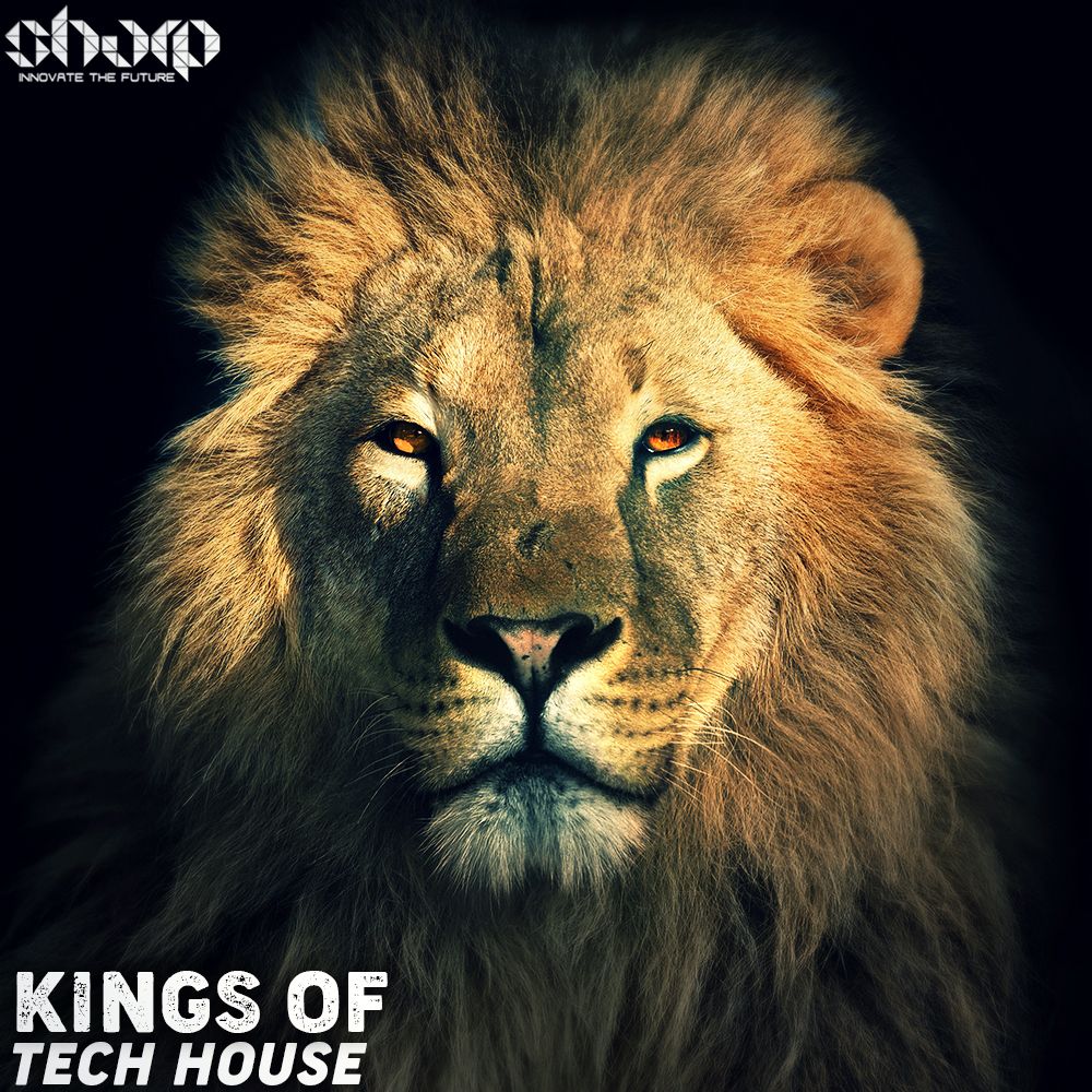 Artwork of Kings of Tech House