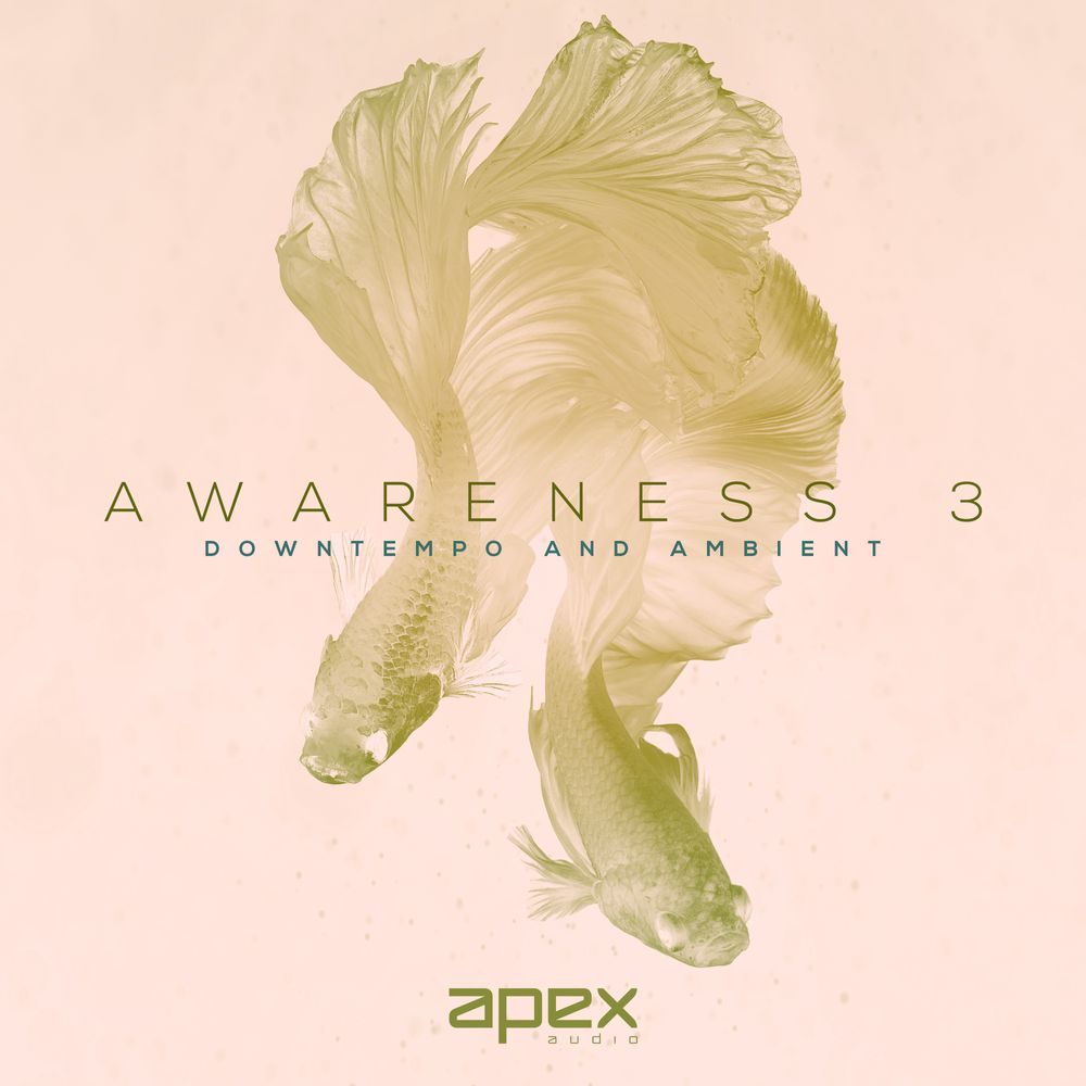 Arte de Awareness 3 - Downtempo & Ambient
