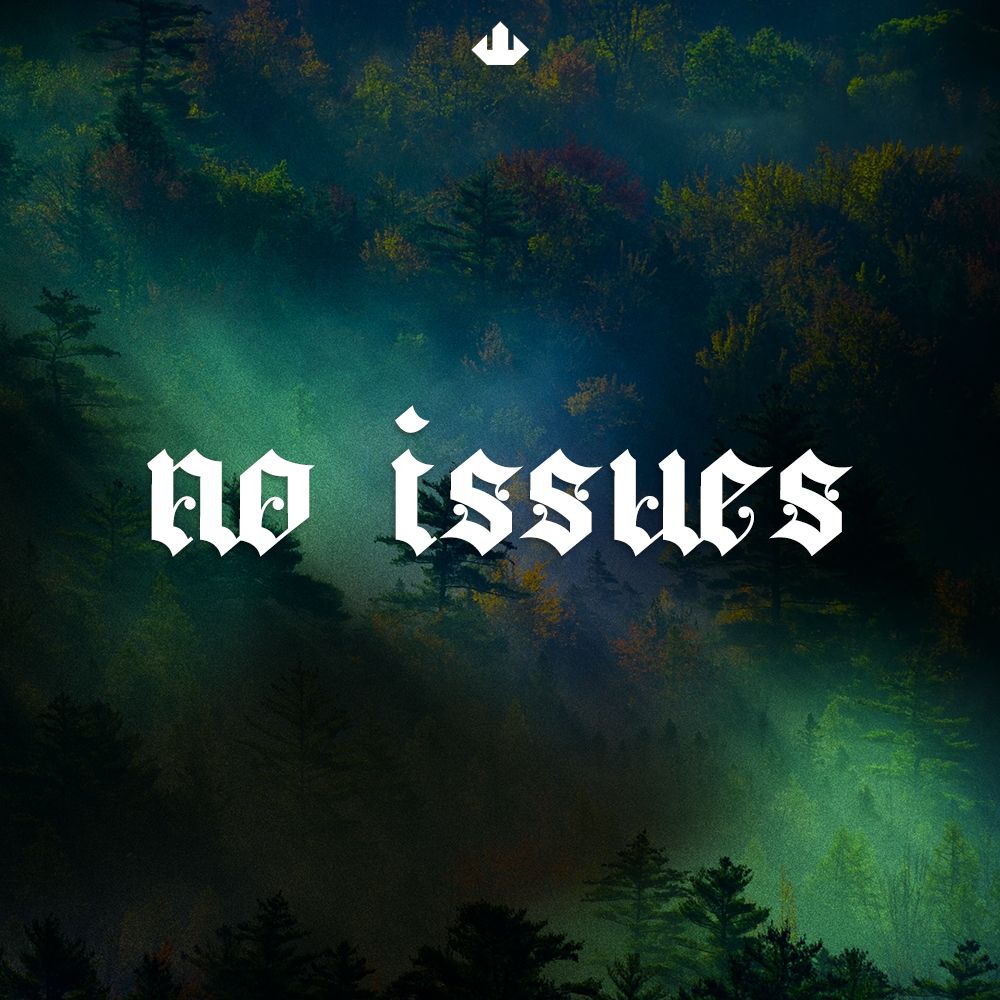 Pochette de NO ISSUES