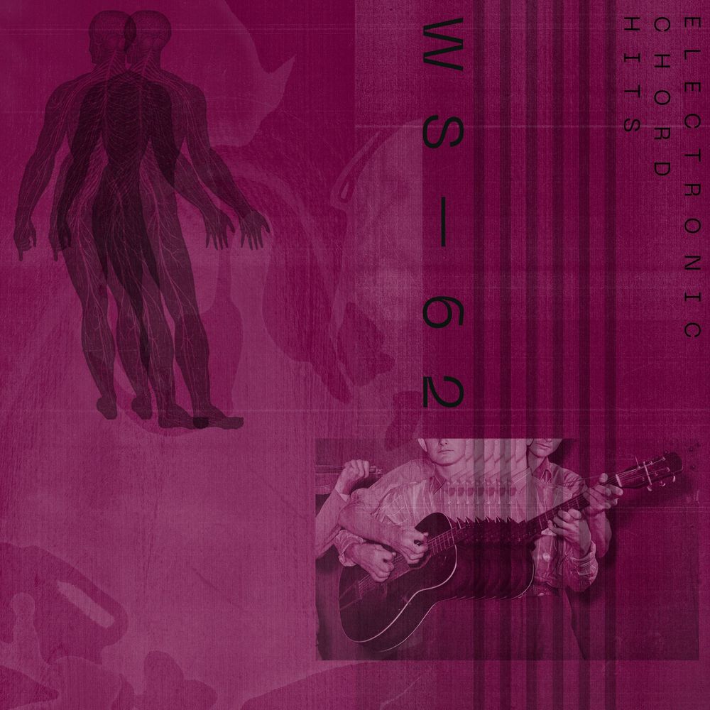 Pochette de Electronic Chord Hits