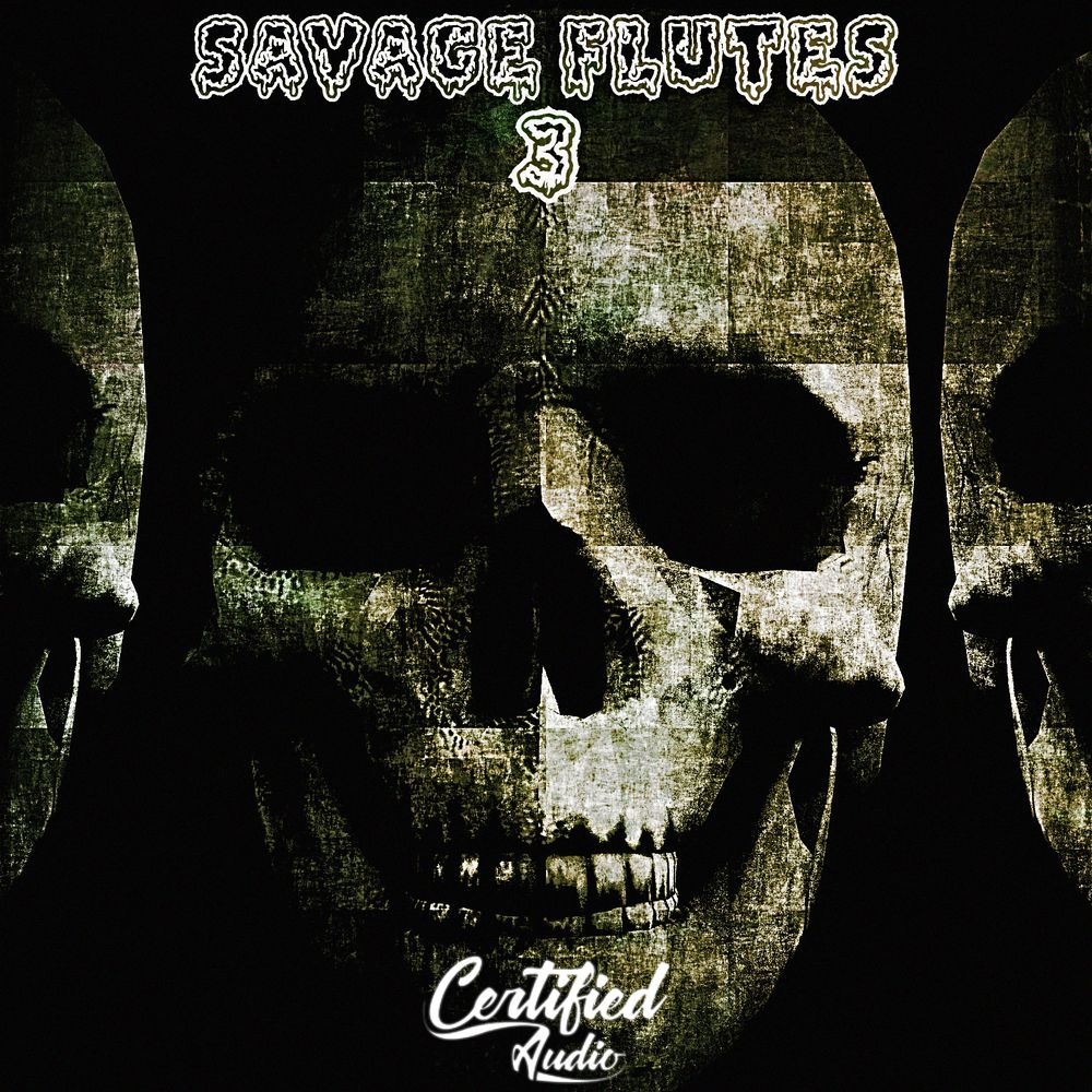 Pochette de Savage Flutes 3