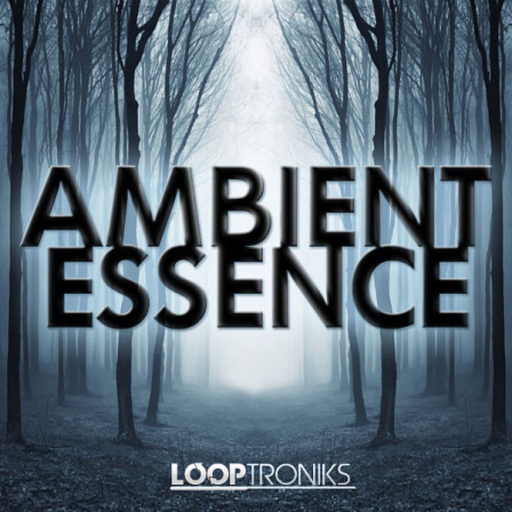 Pochette de Ambient Essence