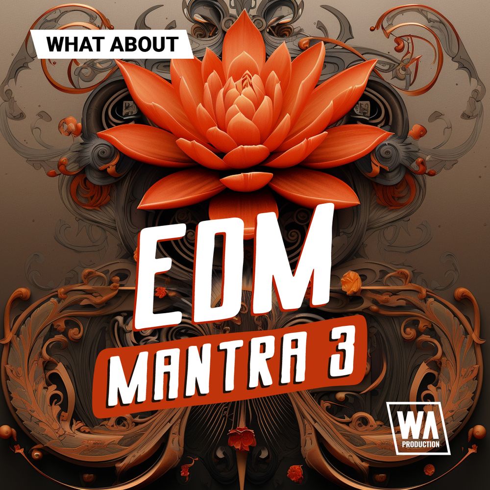 Arte de What About: EDM Mantra 3