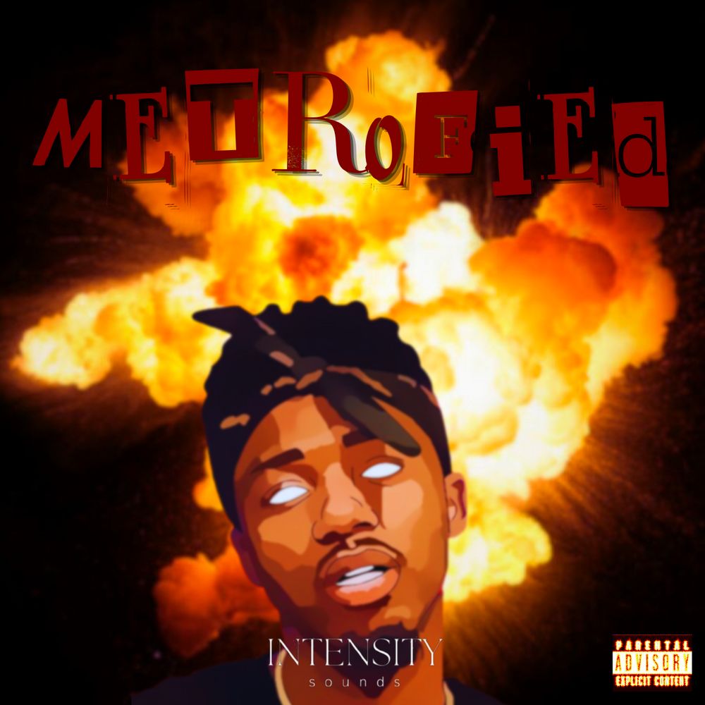 Pochette de Metrofied