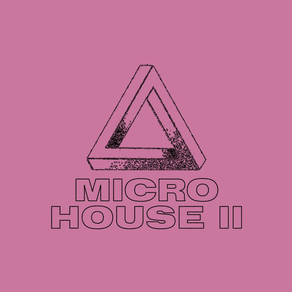 Arte de Micro House 2