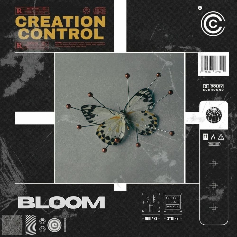 Pochette de Bloom