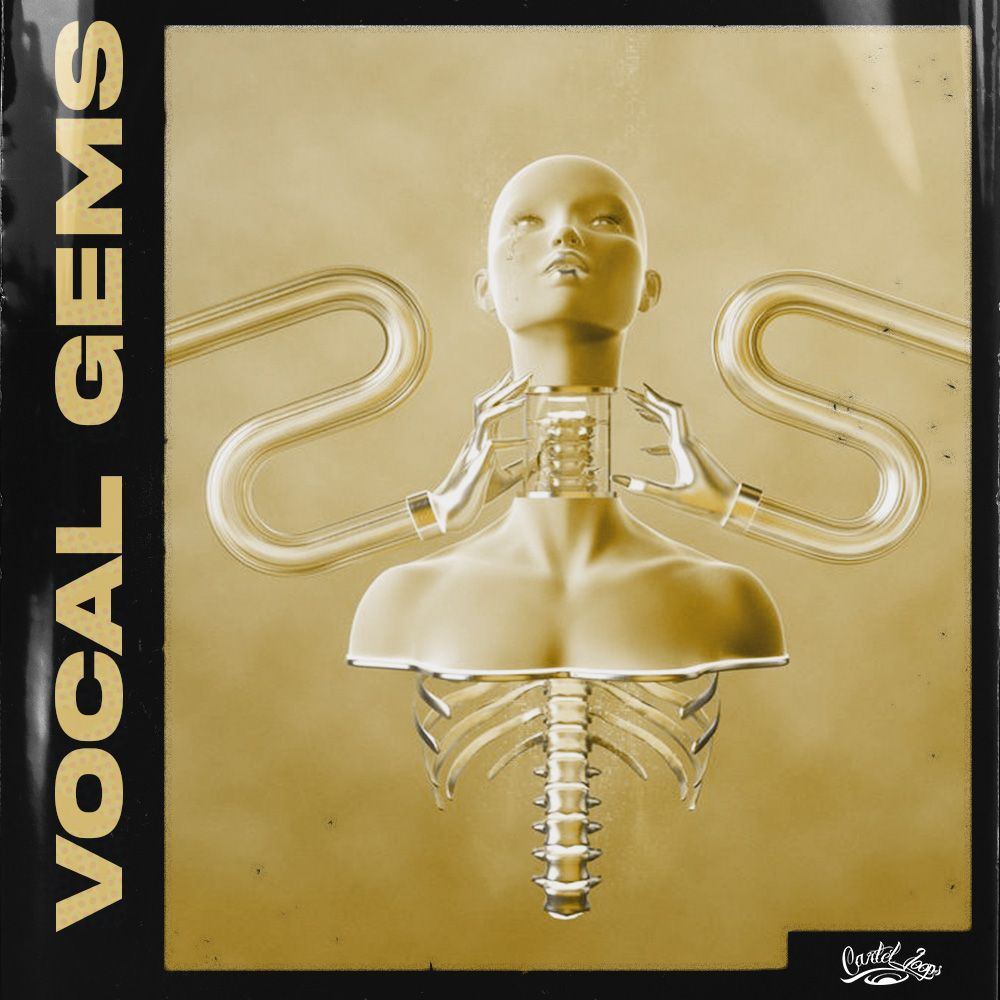 Pochette de Vocal Gems