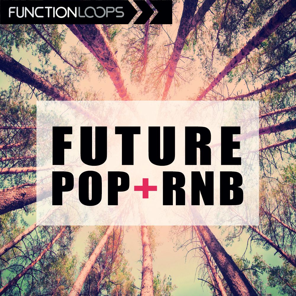 Pochette de Future Pop RnB