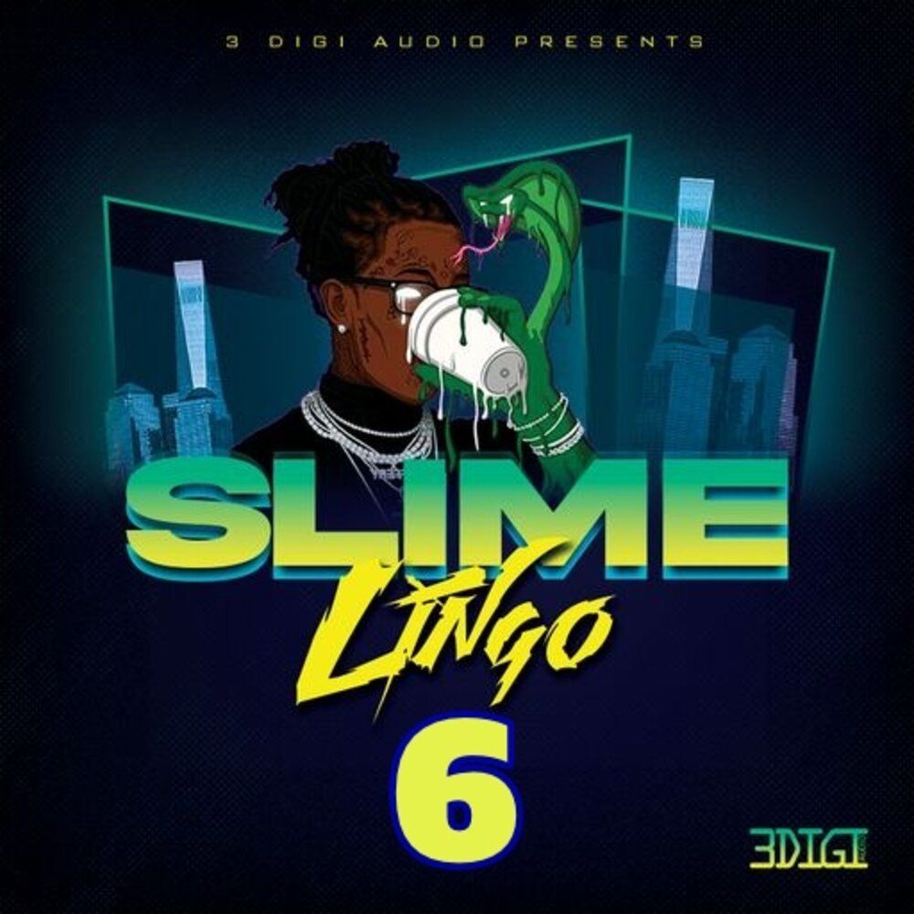 Pochette de Slime Lingo 6