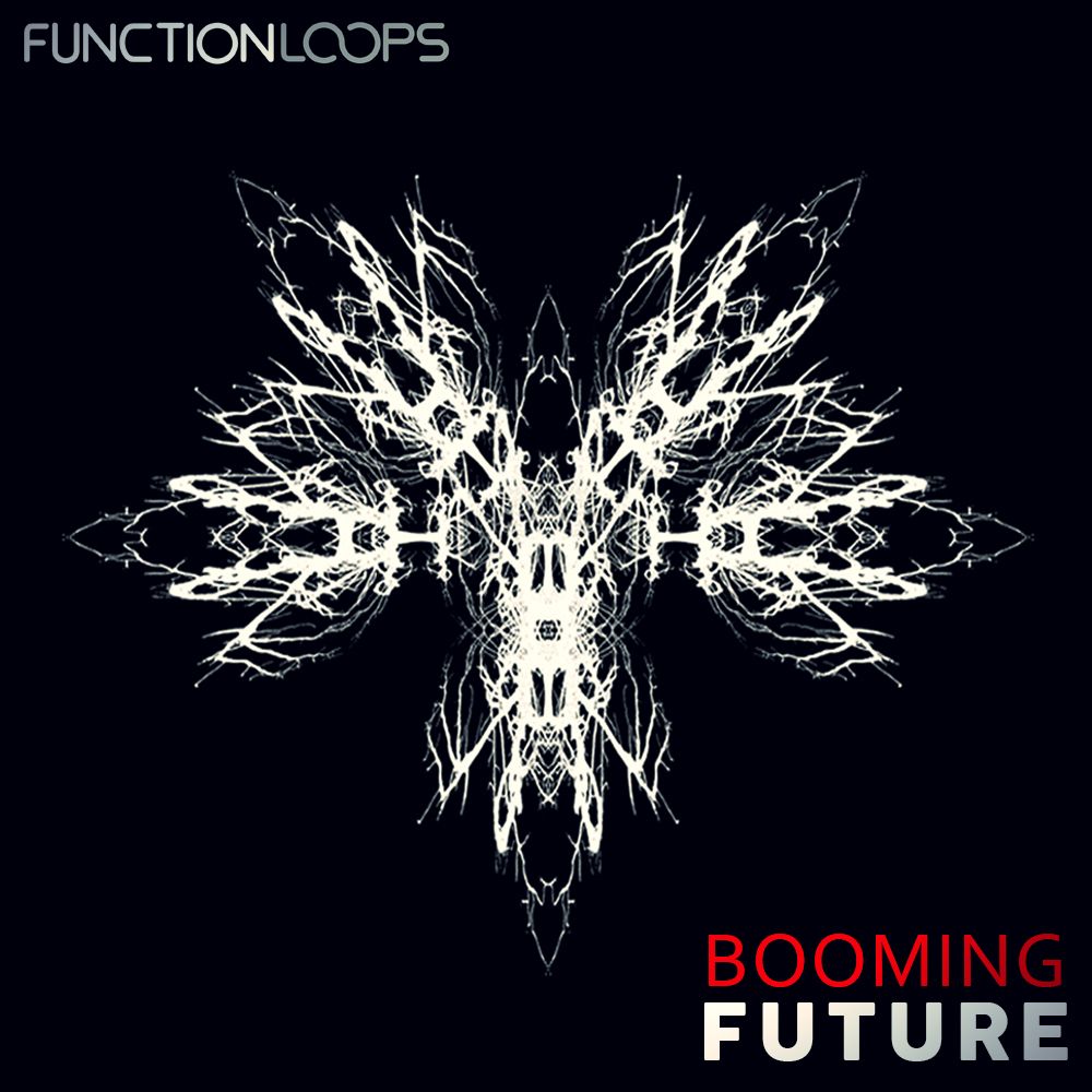 Pochette de Booming Future