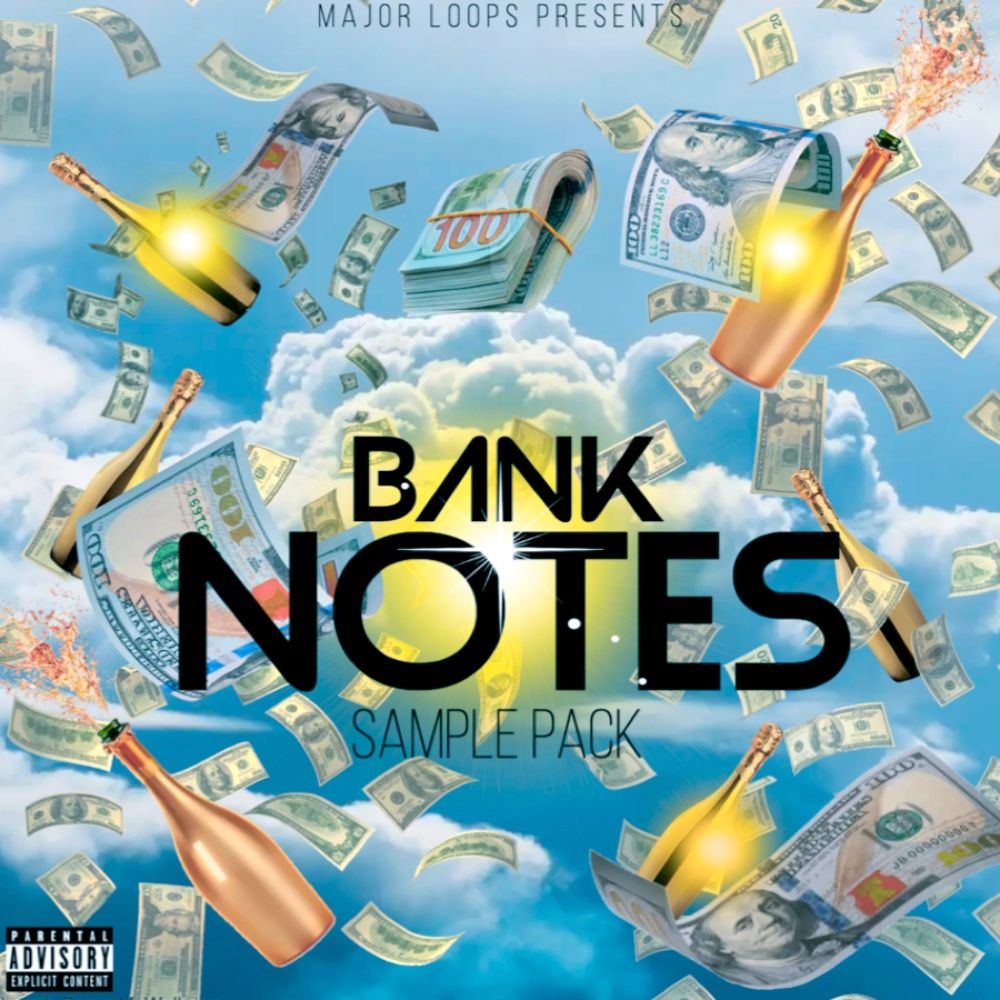 Pochette de Bank Notes
