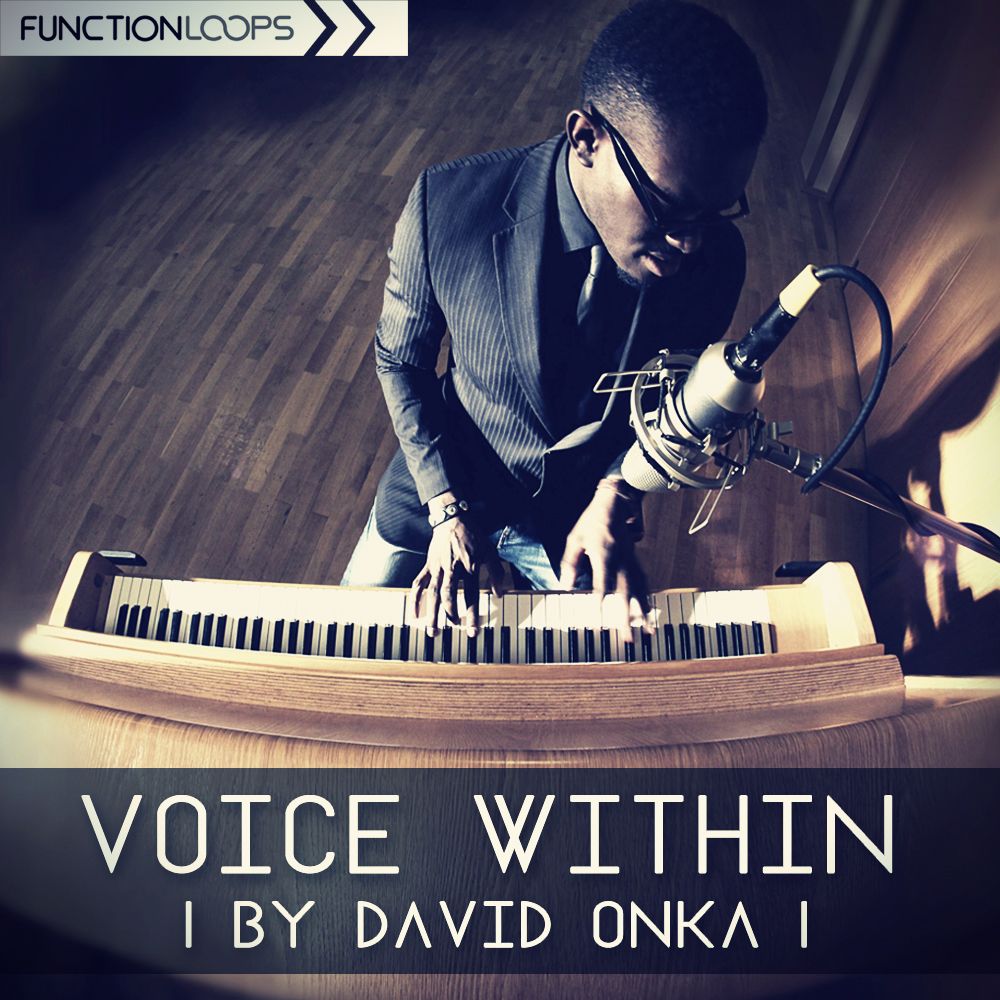 Pochette de Voice Within