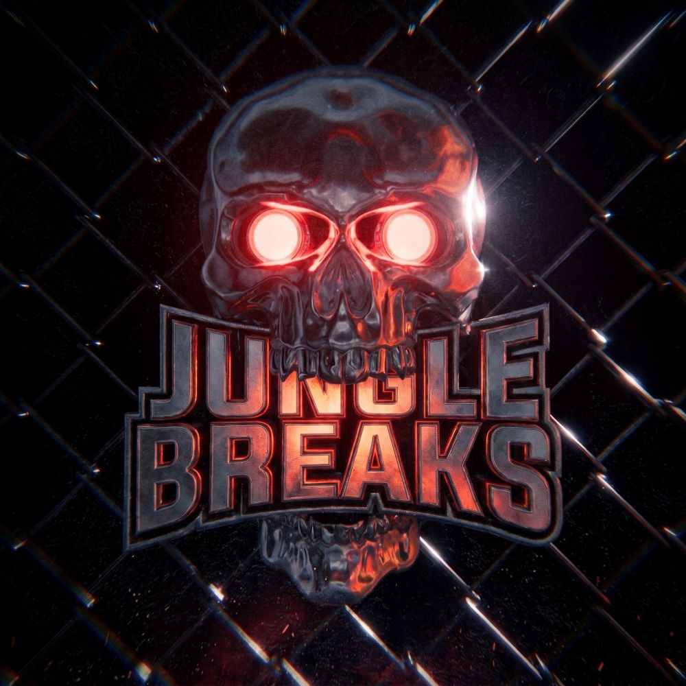 Arte de Jungle Breaks & DnB Loops