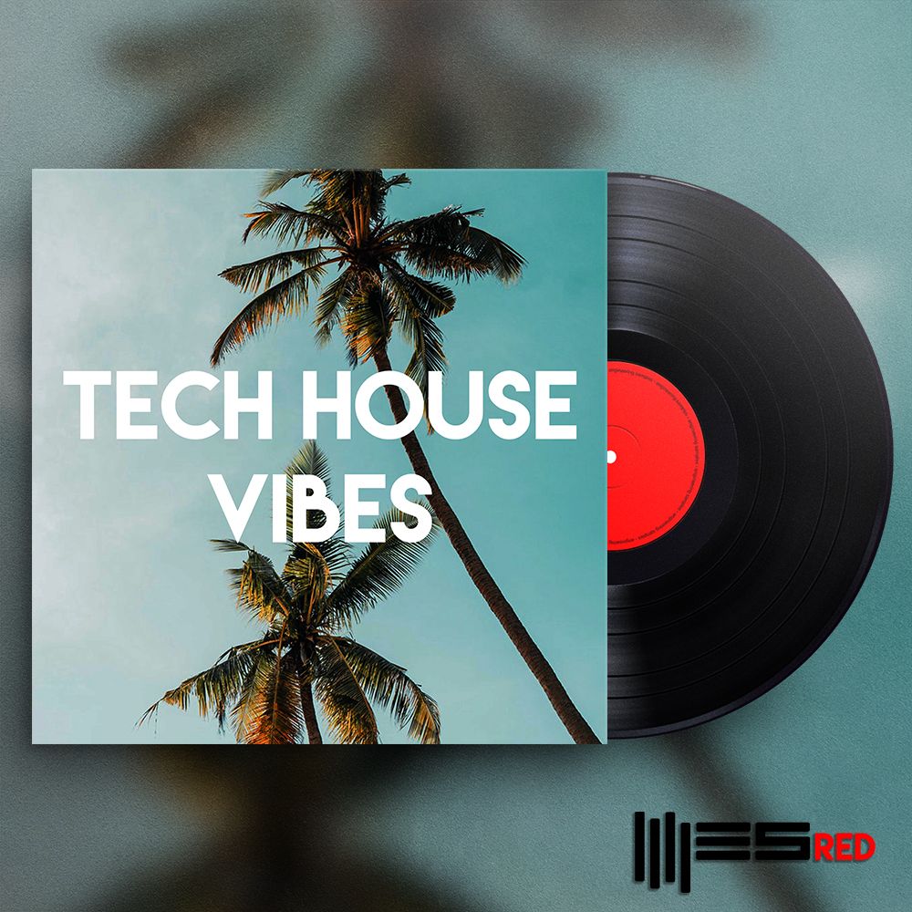 Pochette de Tech House Vibes