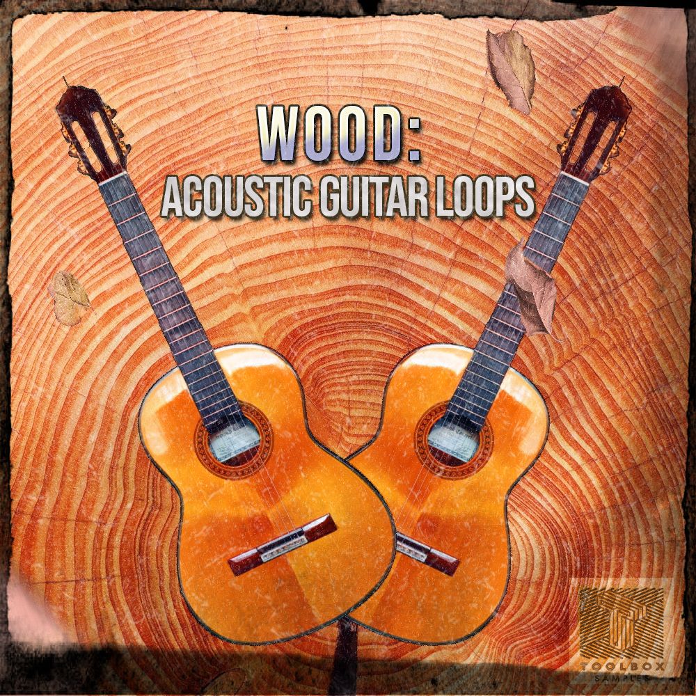 Acoustic deals guitar samples